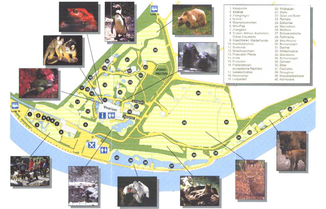 Der Tierpark liegt unmittelbar gegenüber des Campingplatzes - ein Besuch lohnt sich! 